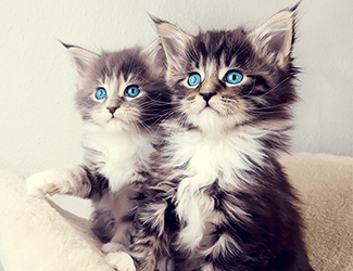 學(xué)習(xí)CAD！每天五個(gè)小技巧！這個(gè)系列趕快收藏！